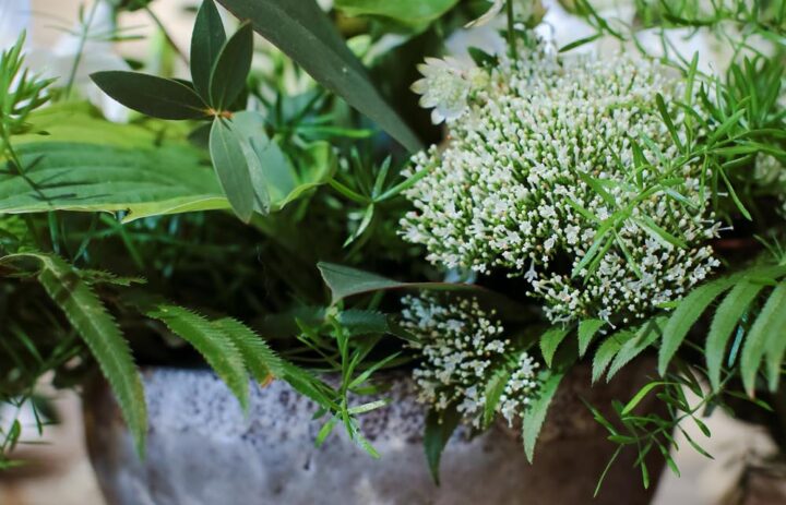  bouquet-de-saison-pot-blanc-vert 