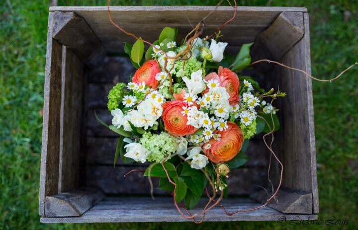  Bouquet blanc orange [Photo site] 