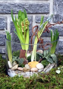 Composition dans un vase cylindre avec jacinthe galets et mousse.