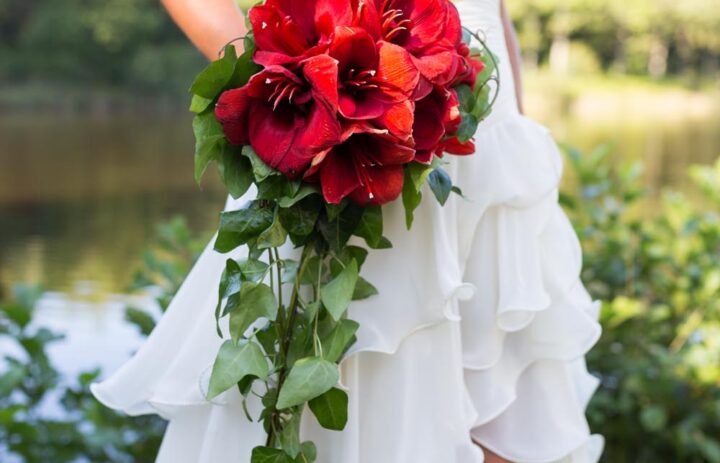  bouquet-mariee-rouge-cascade-lierre 