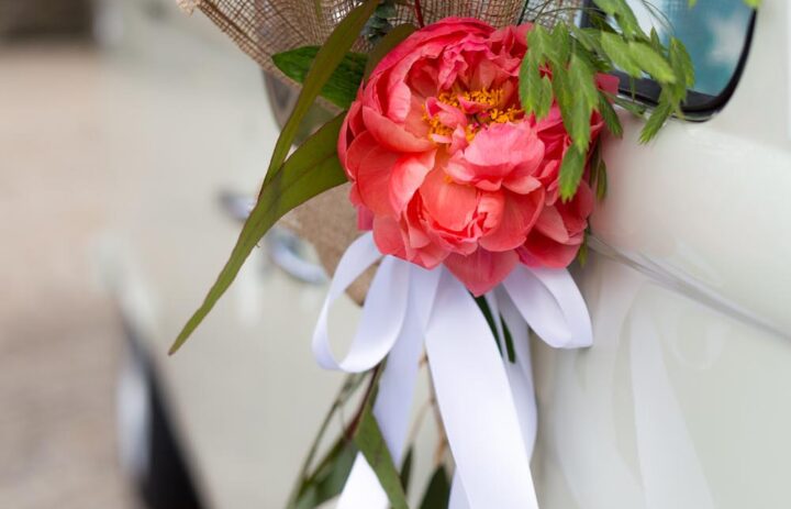  decoration-voiture-mariage-porte-pivoine-corail 